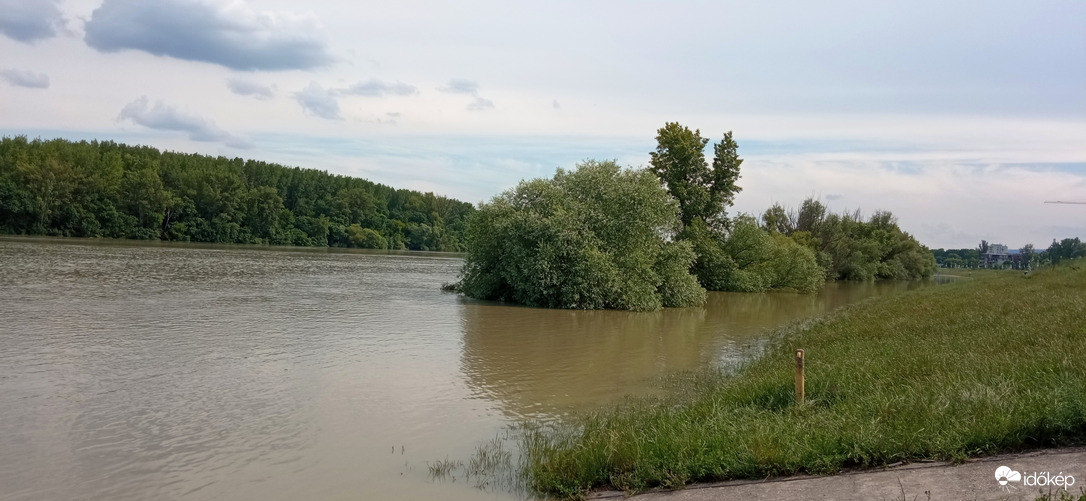 Délután fél ötkor a Dunánál, Budán.