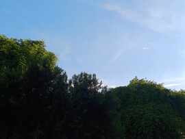 Sződliget