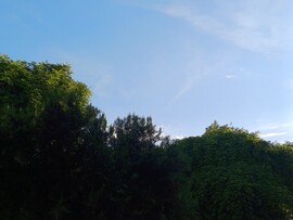 Sződliget