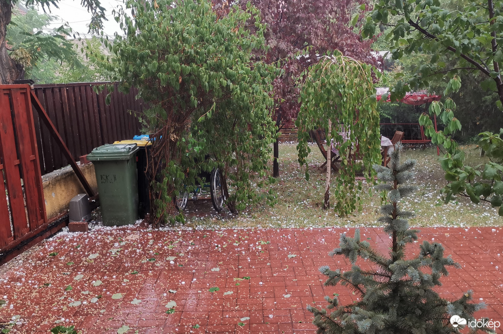 Észlelési fényképek