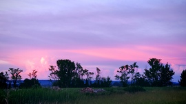 Pink Lady clouds idehaza