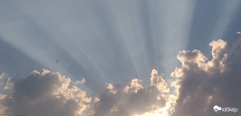 Sugár koszorú  Szent László ünnepén 