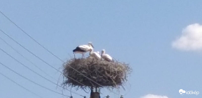 Felfrissülésre várva