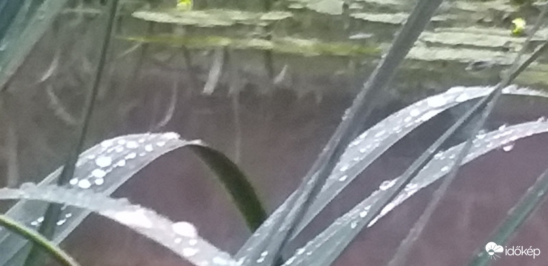 Vizek és gyöngyök 