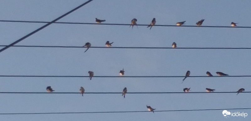 A nyár gyönyörű kottája