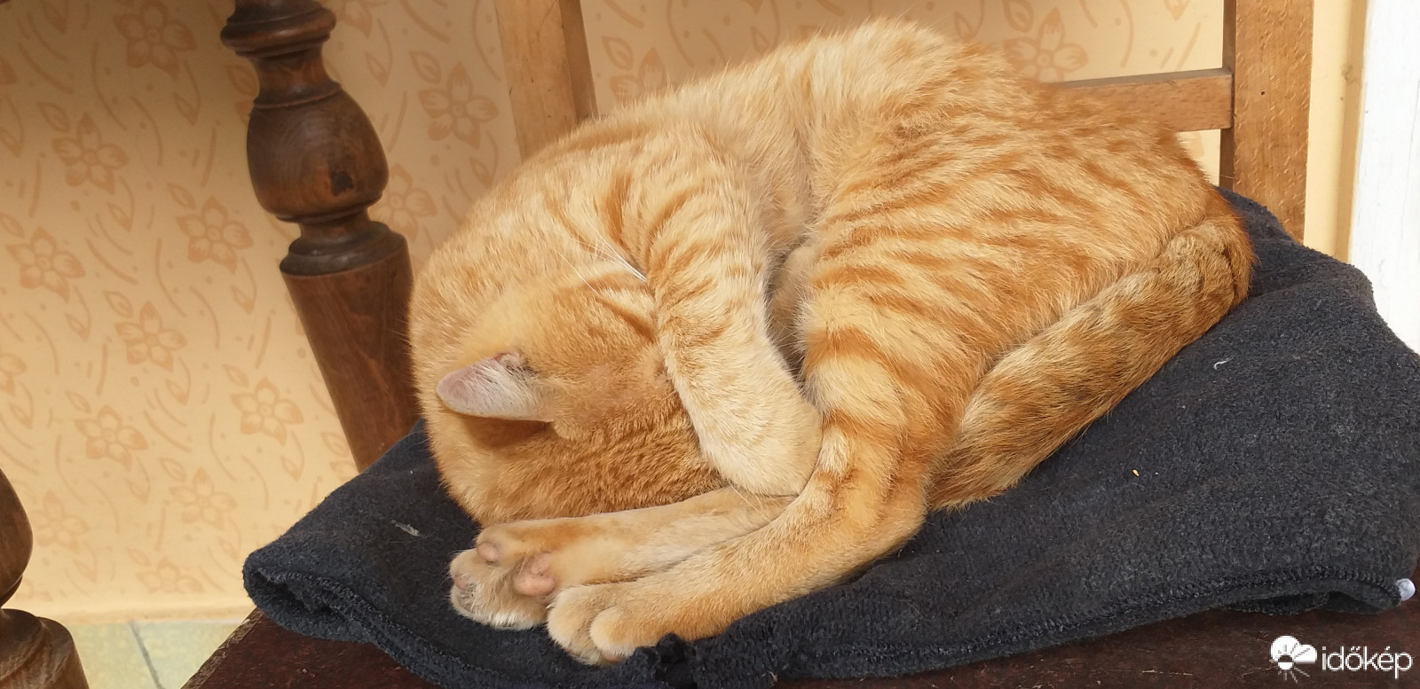 Ne zavarjatok! Ma alszom. 