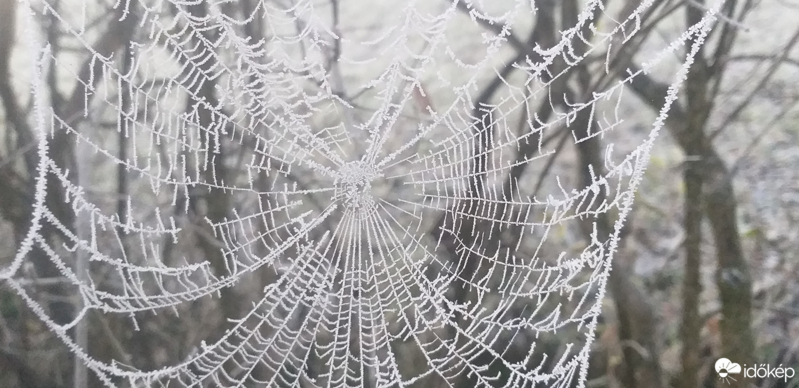 Hópelyhet még foghat! :))