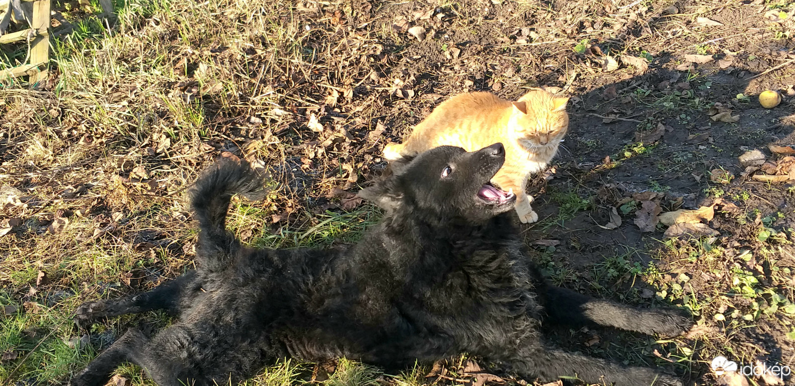 Ugye játszol velem?