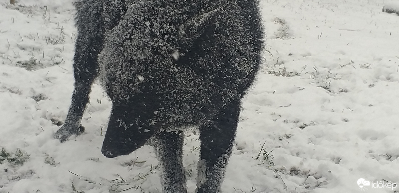 "Nem ette még meg a kutya a telet!"