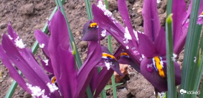 Szent József ünnepén 