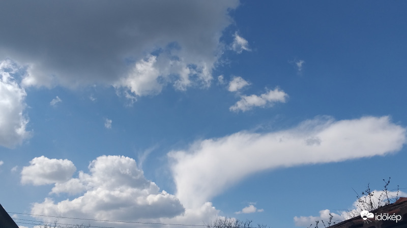 "Szellem a palackból"