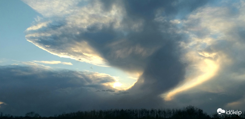 "Szépséges szörnyeteg"