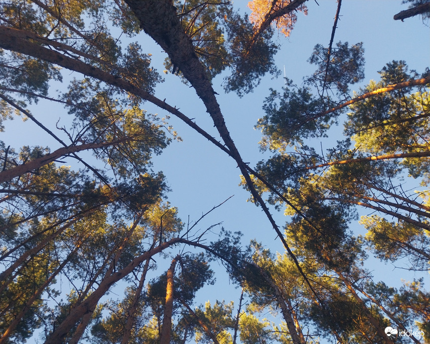 "Óriások földjén"