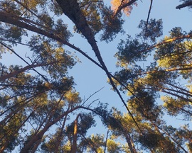 "Óriások földjén"