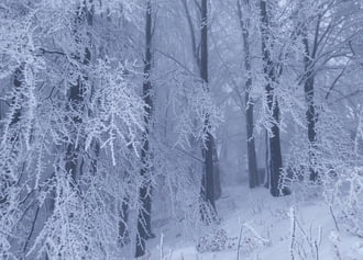 Tél tábornok Kékestetőn