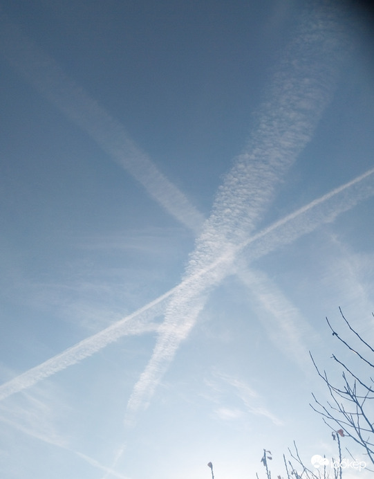 Ezt hogy sikerült összehozni?