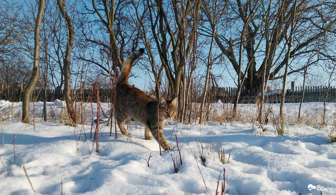 "Nahát, víz tetején nem, de a hó felszínén tudok járni..."