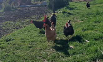 Együtt sétálni jó 