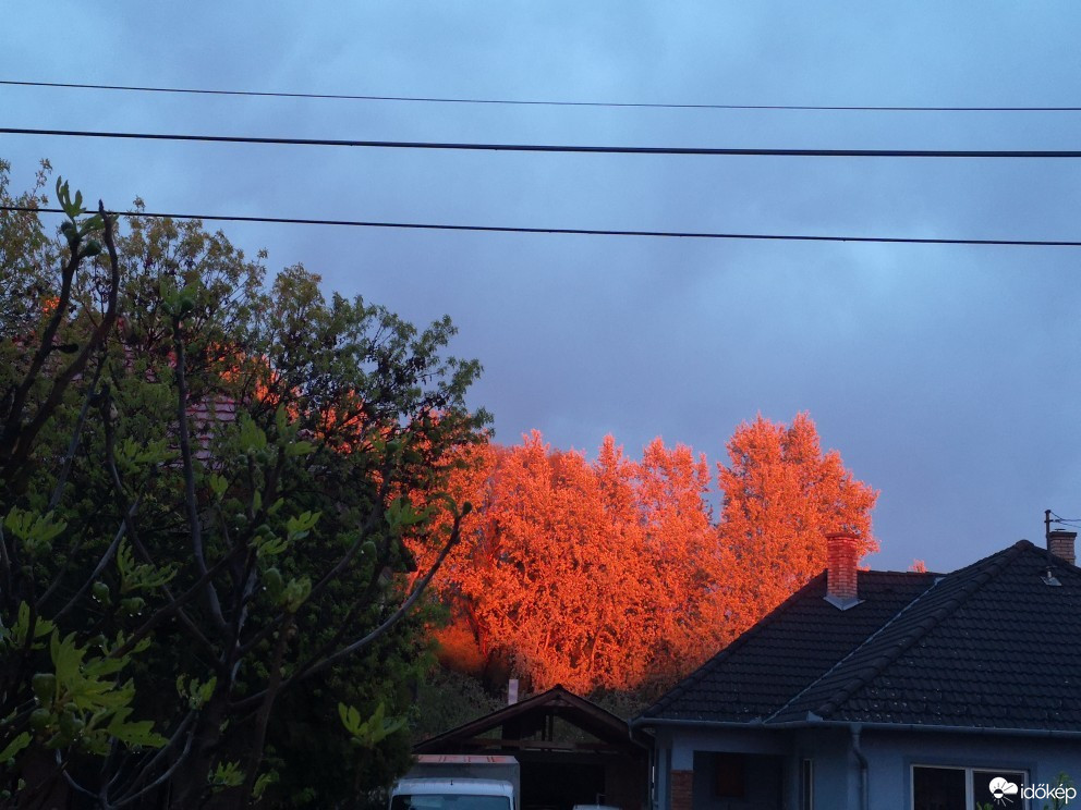 Észlelési fényképek