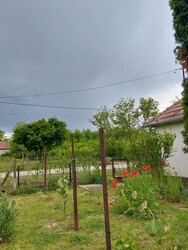Görgeteg