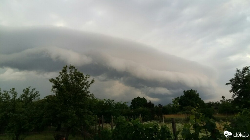 Észlelési fényképek