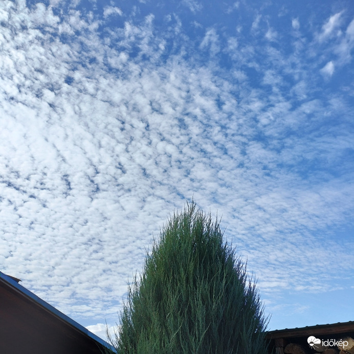 "Hogy mindennap számítson"