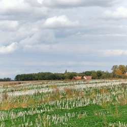 Friss képek