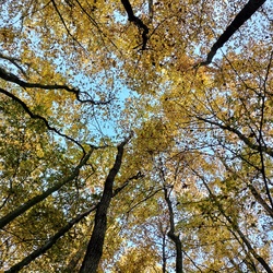 Andrea fotói gyönyörű november 