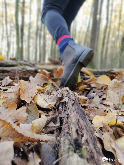 Andrea fotói a természet járó 