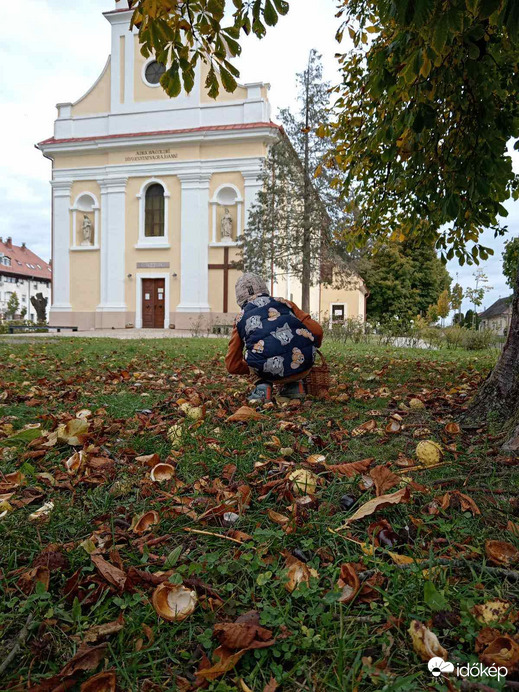 Gesztenye gyűjtő kis emberke 