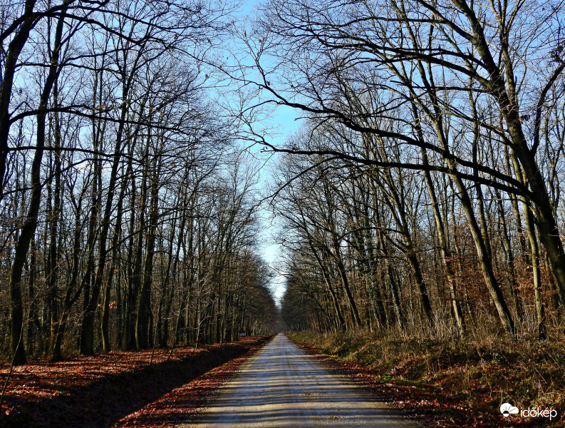 Tavaszias, de mégis téli napsütés!