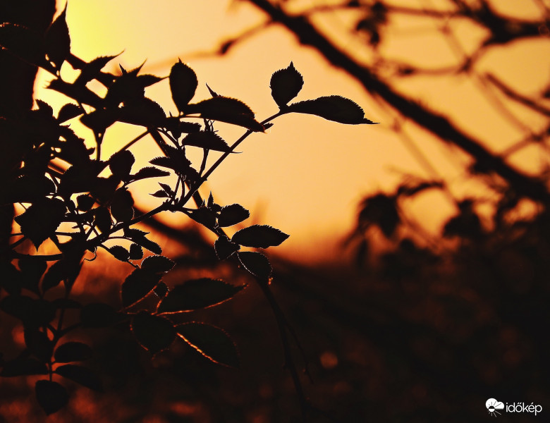 Naplementés részlet. 2019.04.19.