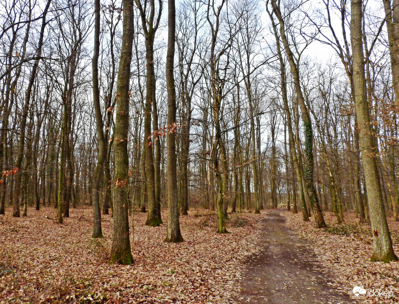 Hóval borítva szebb lenne :) 