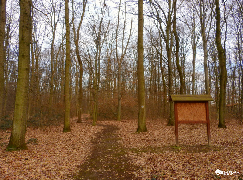 Csend. Nyugalom. Élmények. 