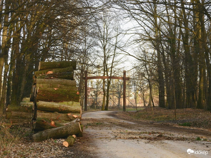 Mintha csak tavasz lett volna :) 