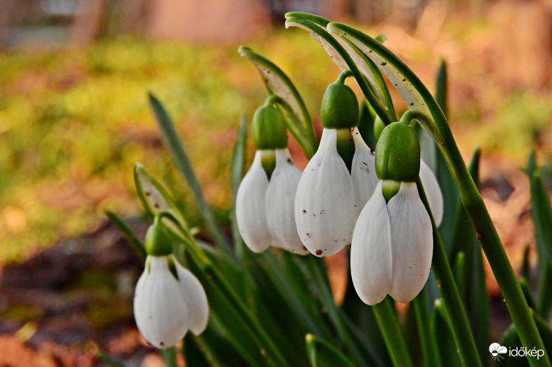 Közel a tavasz :) 