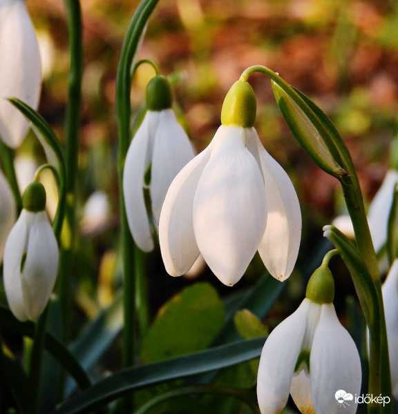 Néhány másodpercre kisütött a nap :) 