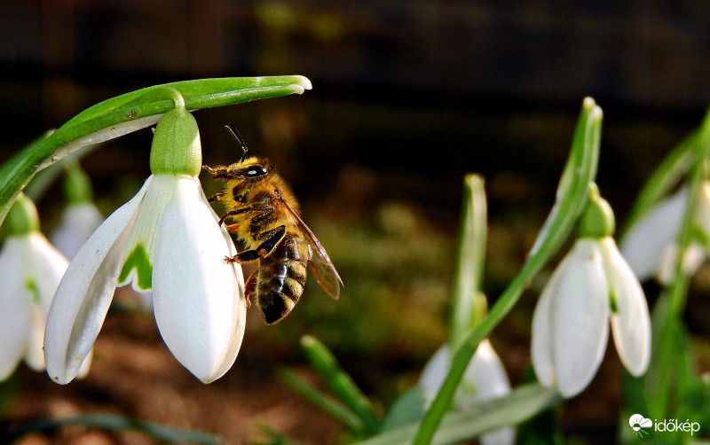 Idei első zümi :) <3 