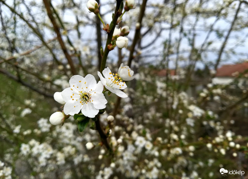 Áprilisi apróságok