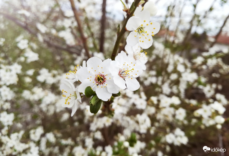 Áprilisi színfoltok :) 