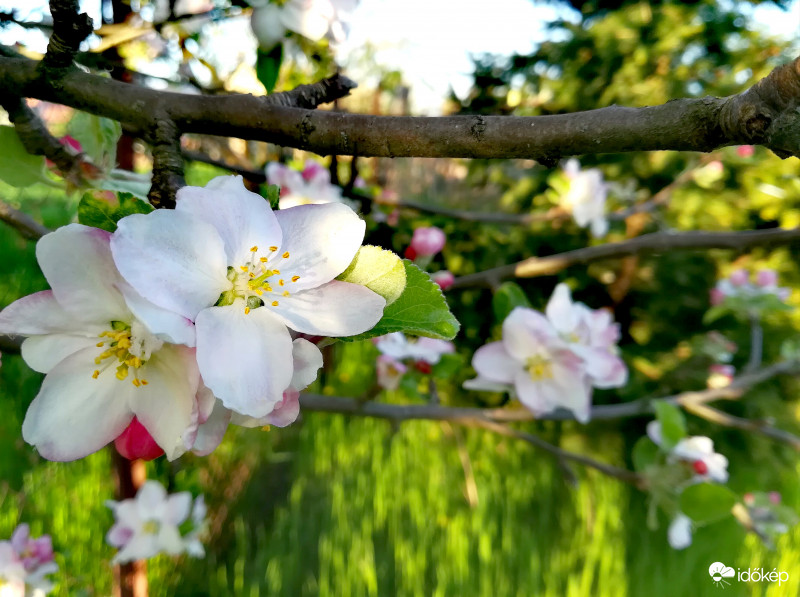 Nem lehet betelni velük :) 