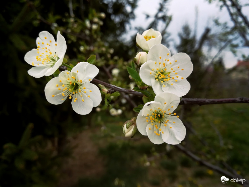Borús időben is szép :) 