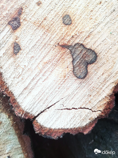 Különleges természet <3