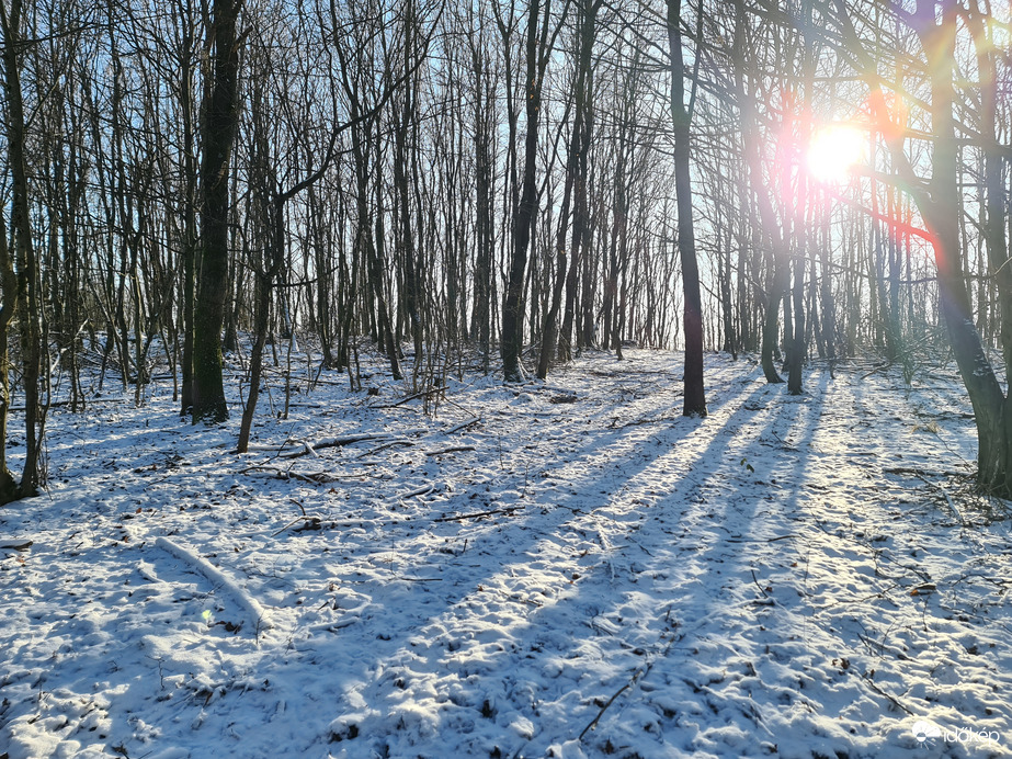 Észlelési fényképek