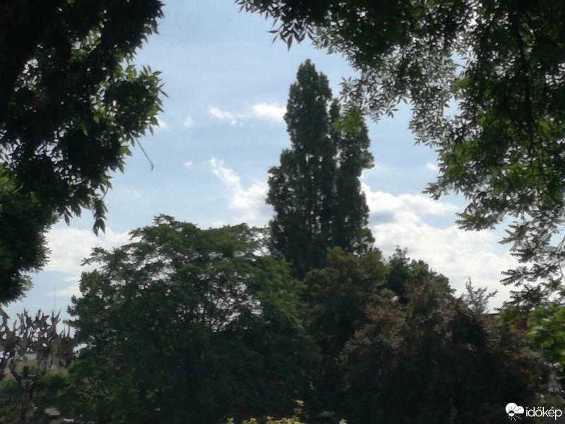 Észlelési fényképek