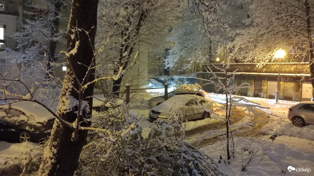 Észlelési fényképek