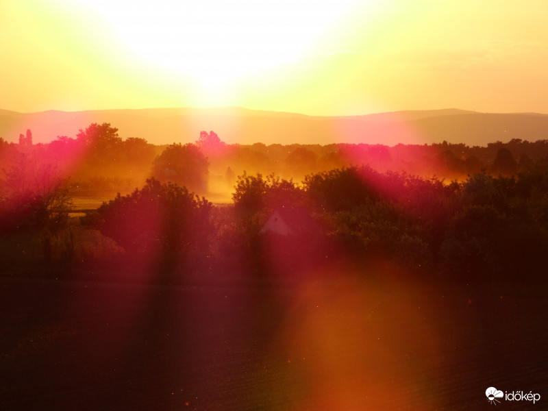 A kukorica élete - 2407