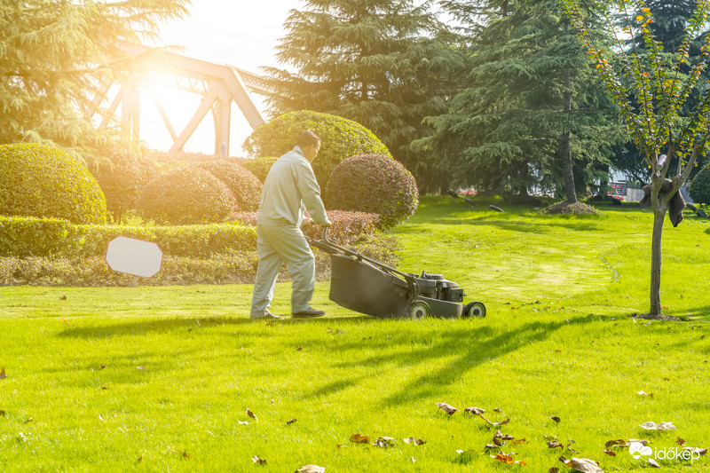 Fűnyíró-Maradjotthon1