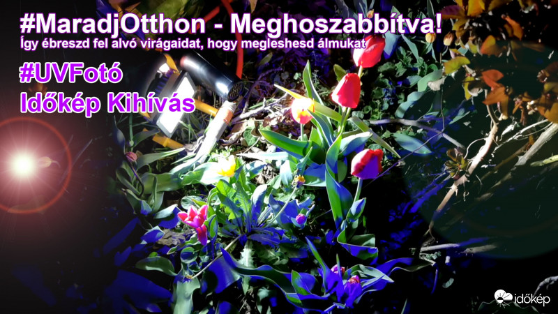UV Kiajánlóhoz V4