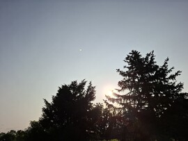 Мол